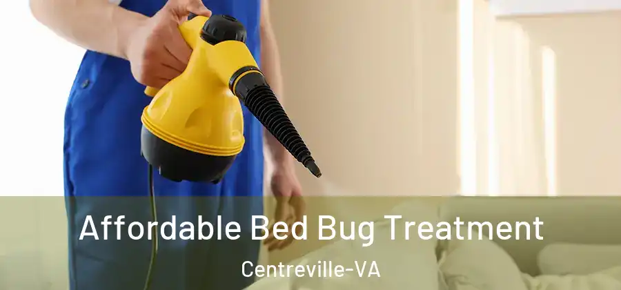  Affordable Bed Bug Treatment Centreville-VA