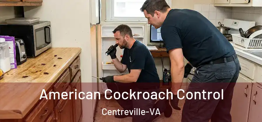 American Cockroach Control Centreville-VA