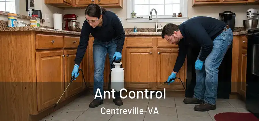  Ant Control Centreville-VA