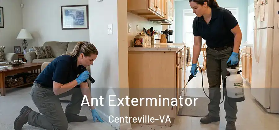 Ant Exterminator Centreville-VA
