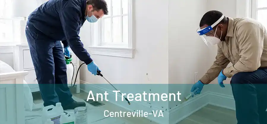 Ant Treatment Centreville-VA