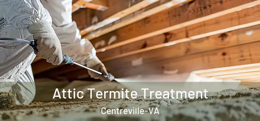 Attic Termite Treatment Centreville-VA