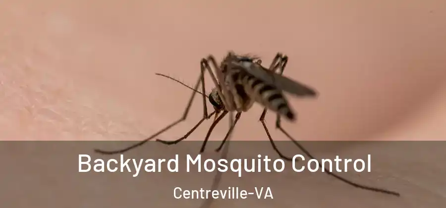 Backyard Mosquito Control Centreville-VA