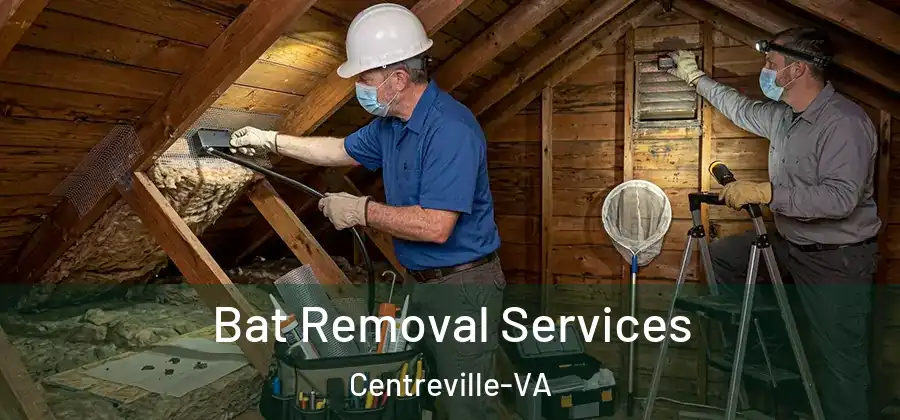 Bat Removal Services Centreville-VA