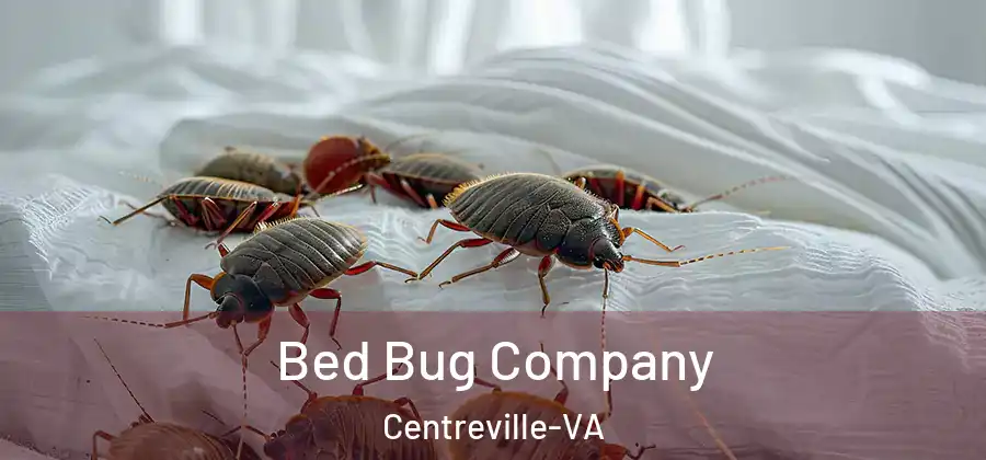  Bed Bug Company Centreville-VA