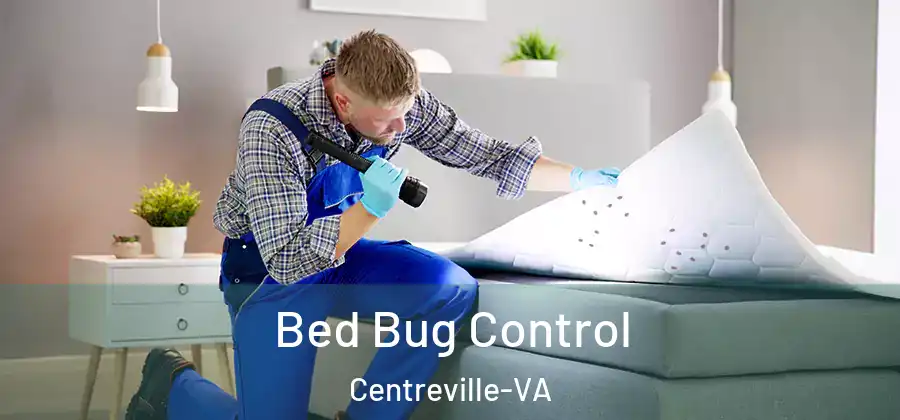  Bed Bug Control Centreville-VA