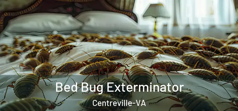  Bed Bug Exterminator Centreville-VA