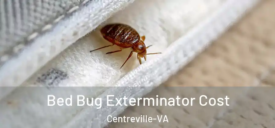 Bed Bug Exterminator Cost Centreville-VA