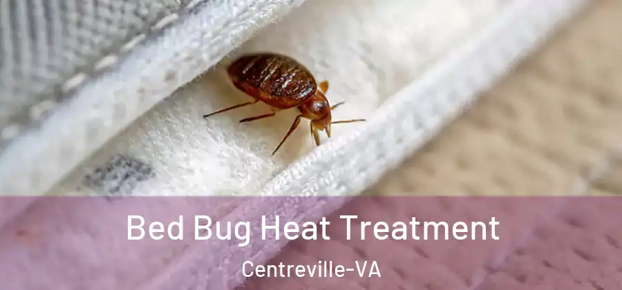Bed Bug Heat Treatment Centreville-VA