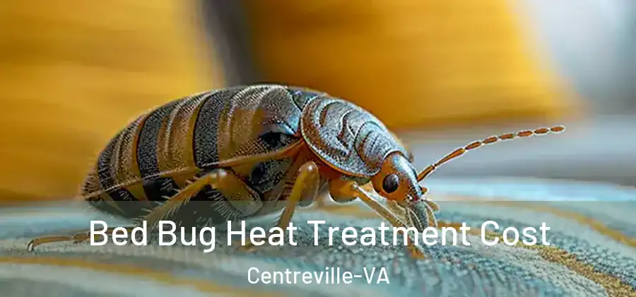 Bed Bug Heat Treatment Cost Centreville-VA
