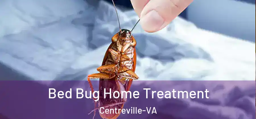Bed Bug Home Treatment Centreville-VA