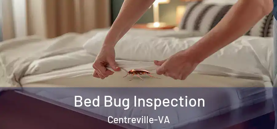 Bed Bug Inspection Centreville-VA