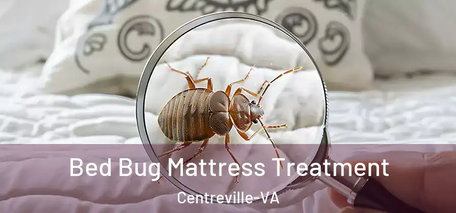  Bed Bug Mattress Treatment Centreville-VA