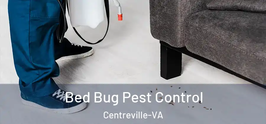  Bed Bug Pest Control Centreville-VA
