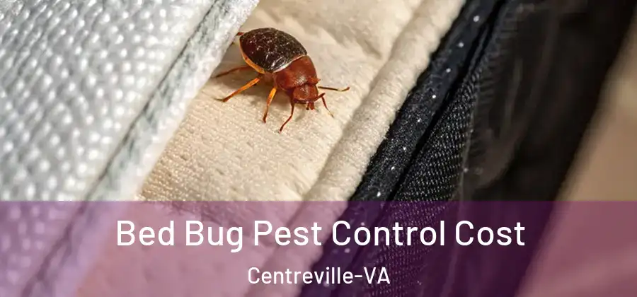 Bed Bug Pest Control Cost Centreville-VA