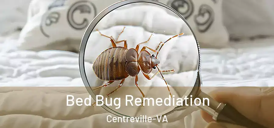 Bed Bug Remediation Centreville-VA