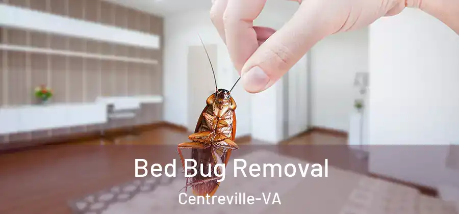  Bed Bug Removal Centreville-VA