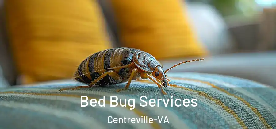  Bed Bug Services Centreville-VA