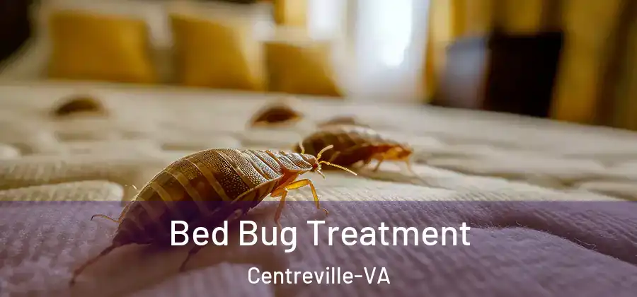 Bed Bug Treatment Centreville-VA