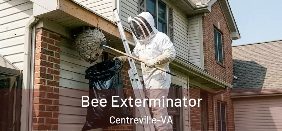 Bee Exterminator Centreville-VA