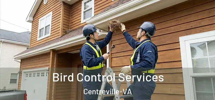  Bird Control Services Centreville-VA