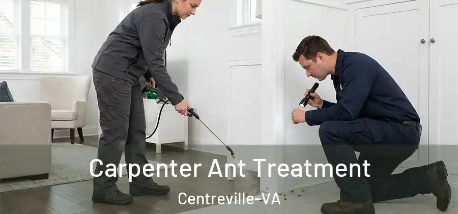 Carpenter Ant Treatment Centreville-VA