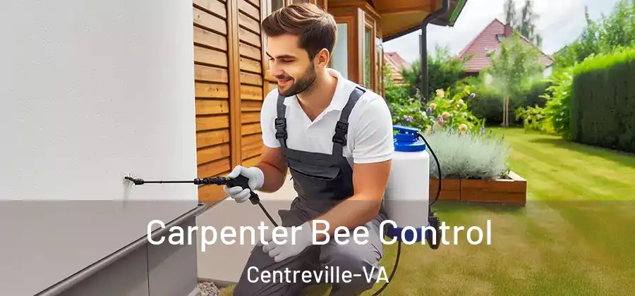  Carpenter Bee Control Centreville-VA