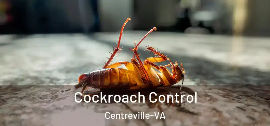  Cockroach Control Centreville-VA
