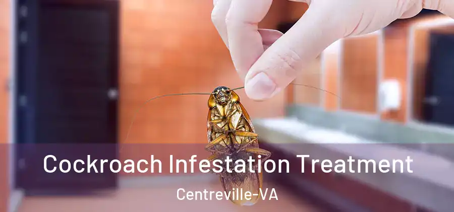 Cockroach Infestation Treatment Centreville-VA