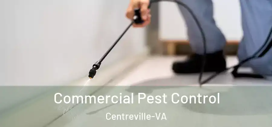 Commercial Pest Control Centreville-VA