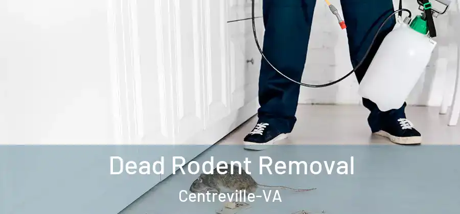 Dead Rodent Removal Centreville-VA