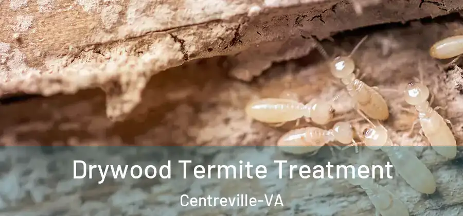  Drywood Termite Treatment Centreville-VA