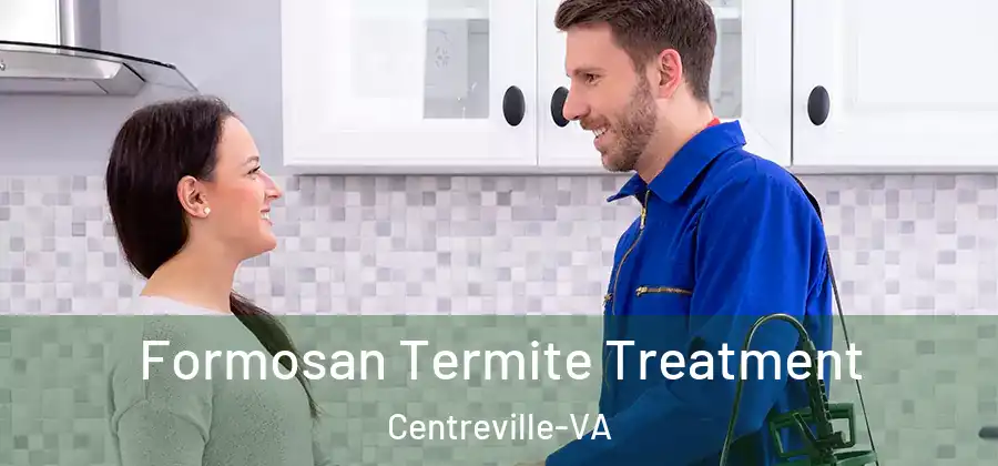 Formosan Termite Treatment Centreville-VA