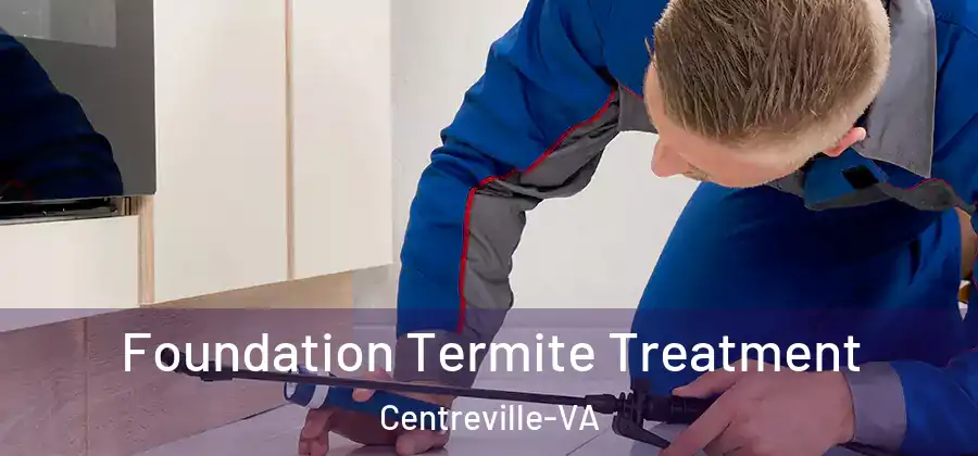  Foundation Termite Treatment Centreville-VA