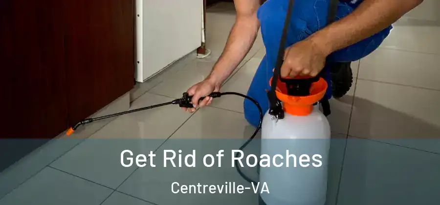  Get Rid of Roaches Centreville-VA