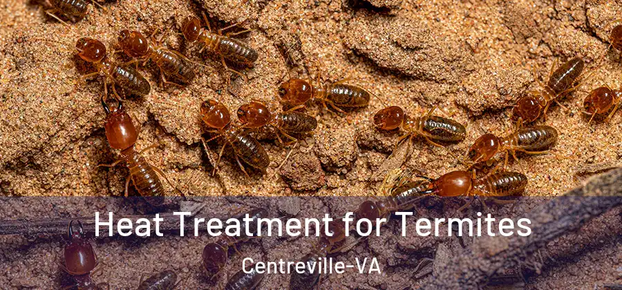 Heat Treatment for Termites Centreville-VA