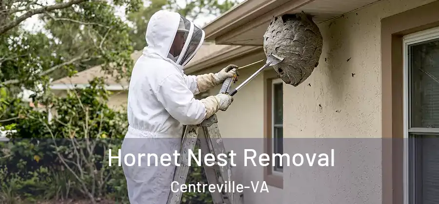 Hornet Nest Removal Centreville-VA