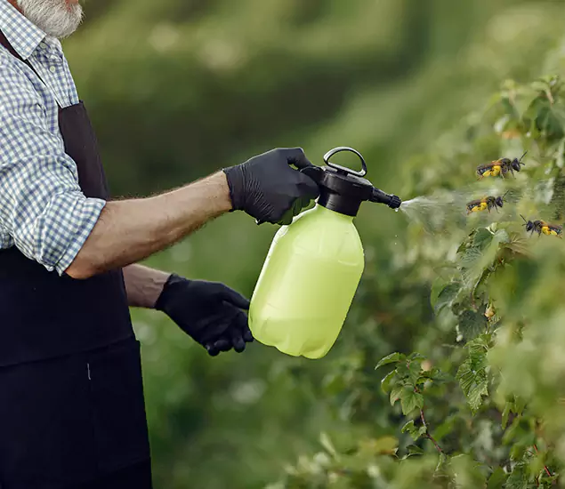 Your Carpenter Bee Service in Centreville, VA
