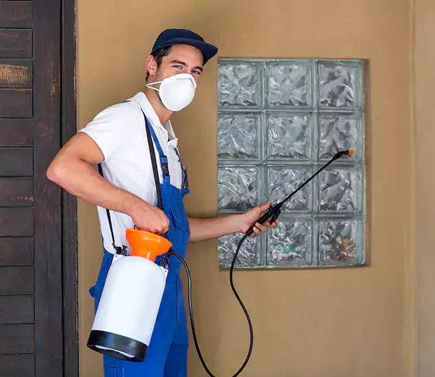 Your Reliable Pest Control in Centreville, VA
