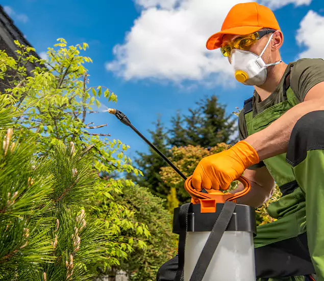 Your Mosquito Repellent Barrier Service in Centreville, VA