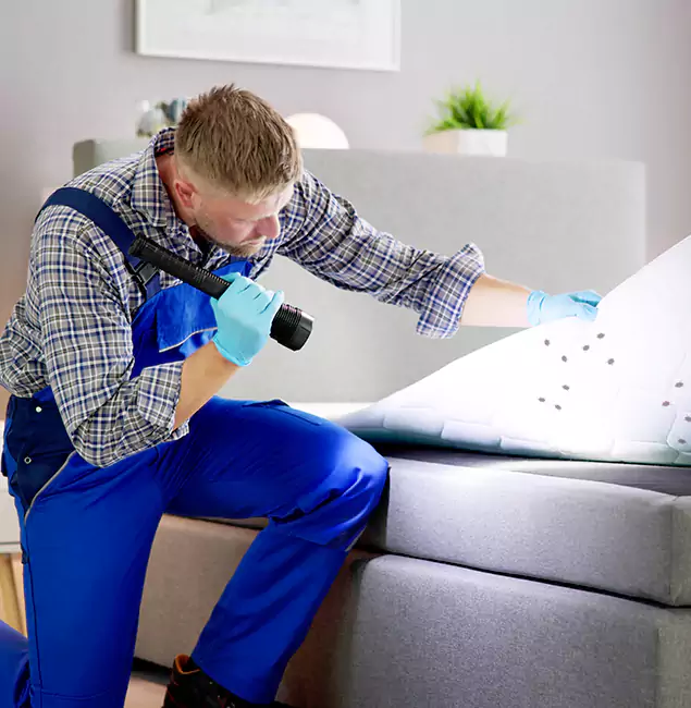Why Choose Centreville Pest Control Pro for Bed Bug Exterminator Cost in Centreville, VA?