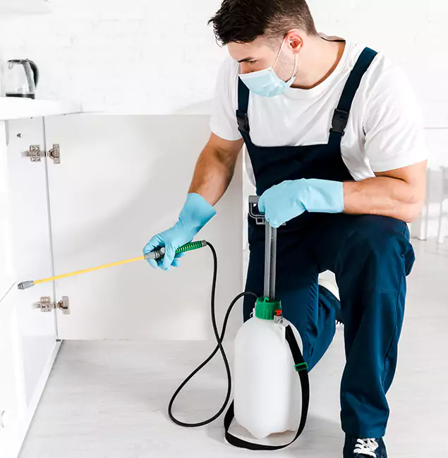 Why Centreville, VA Homeowners Trust Us for German Roach Control?