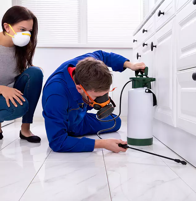 Why Centreville, VA Homeowners Trust Centreville Pest Control Pro for Roach Control?