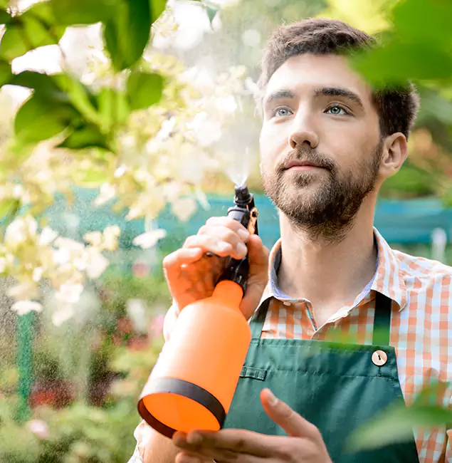 Why Centreville Homeowners Call Centreville Pest Control Pro for Mosquitoes in House?