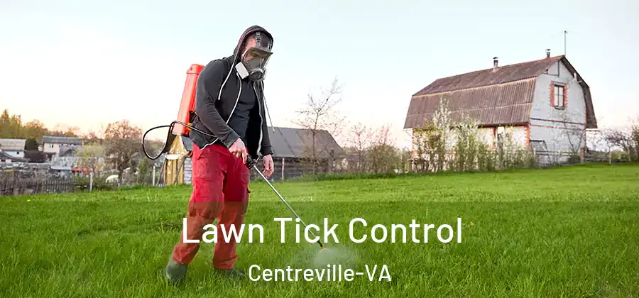 Lawn Tick Control Centreville-VA