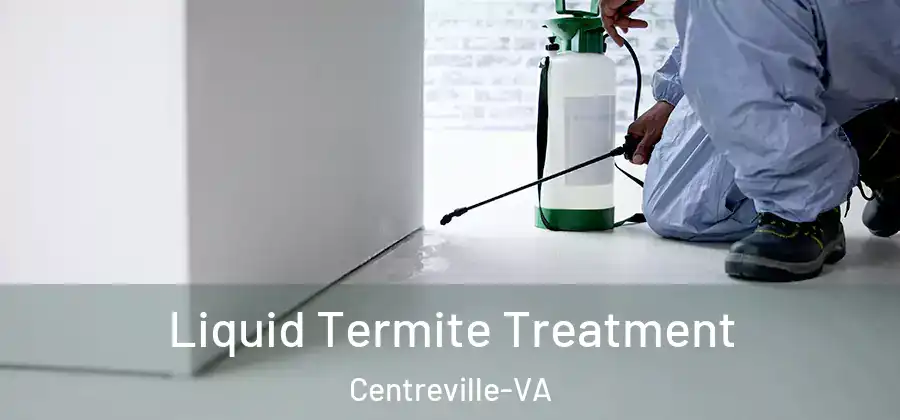  Liquid Termite Treatment Centreville-VA