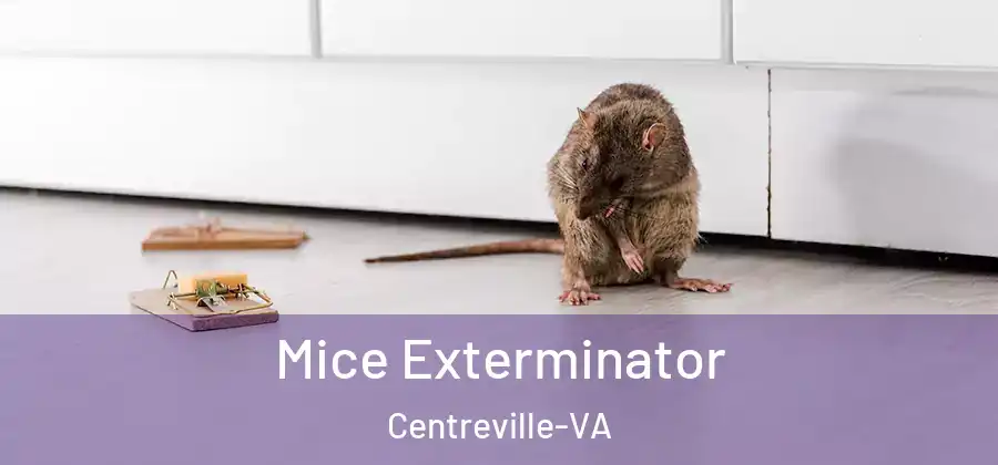  Mice Exterminator Centreville-VA