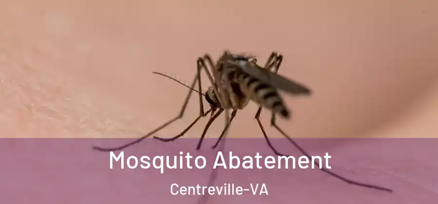  Mosquito Abatement Centreville-VA