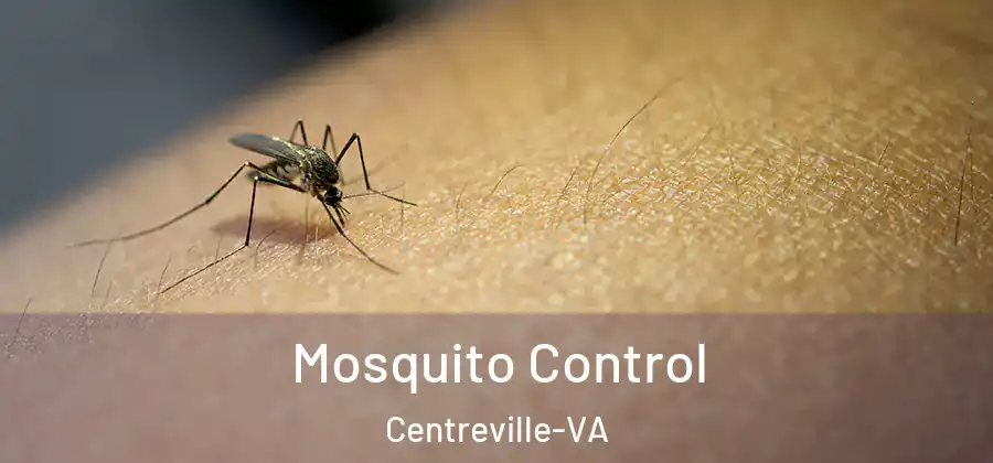 Mosquito Control Centreville-VA