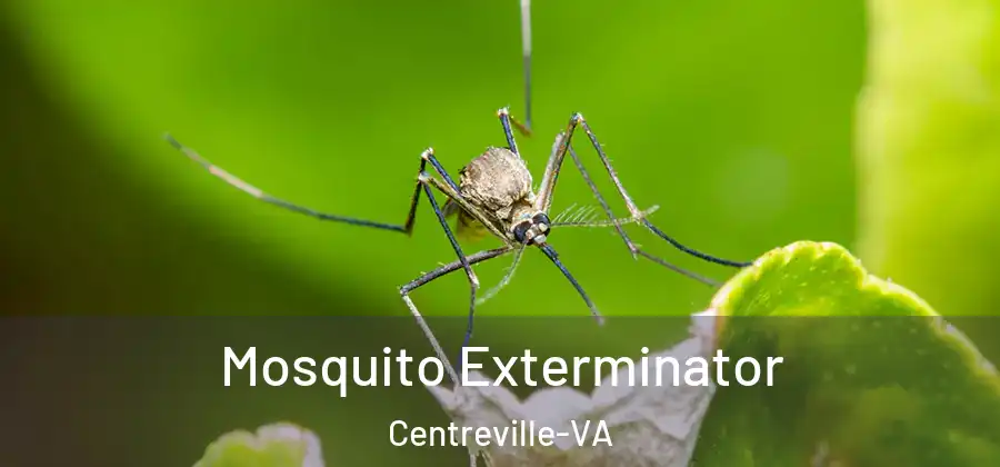  Mosquito Exterminator Centreville-VA
